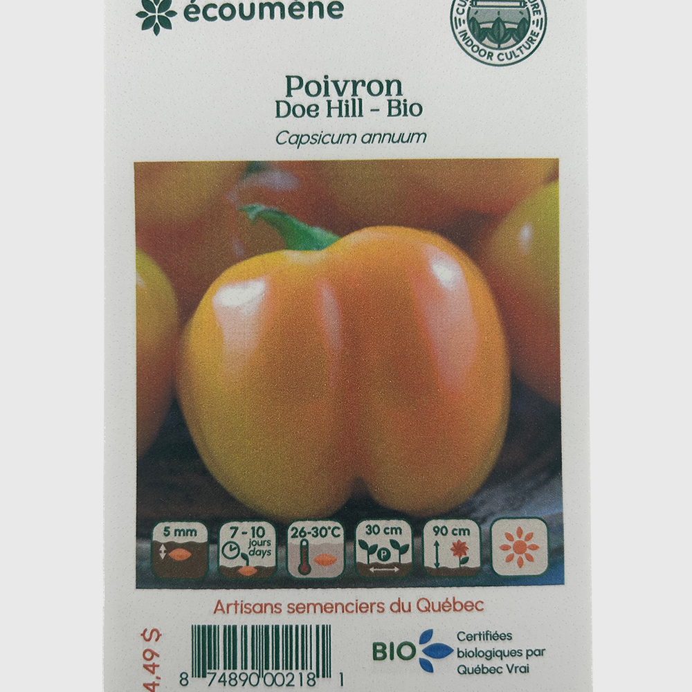 Bell pepper