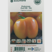 Bell pepper