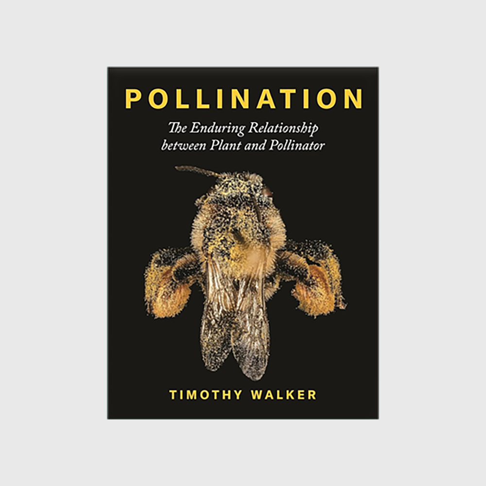 Pollination