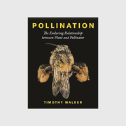 Pollination