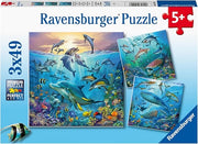Oceans Puzzle 3x49p