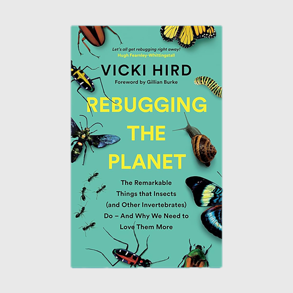 Rebugging the Planet: The Remarkable Things that Insects (and Other Invertebrates) Do – And Why We Need to Love Them More