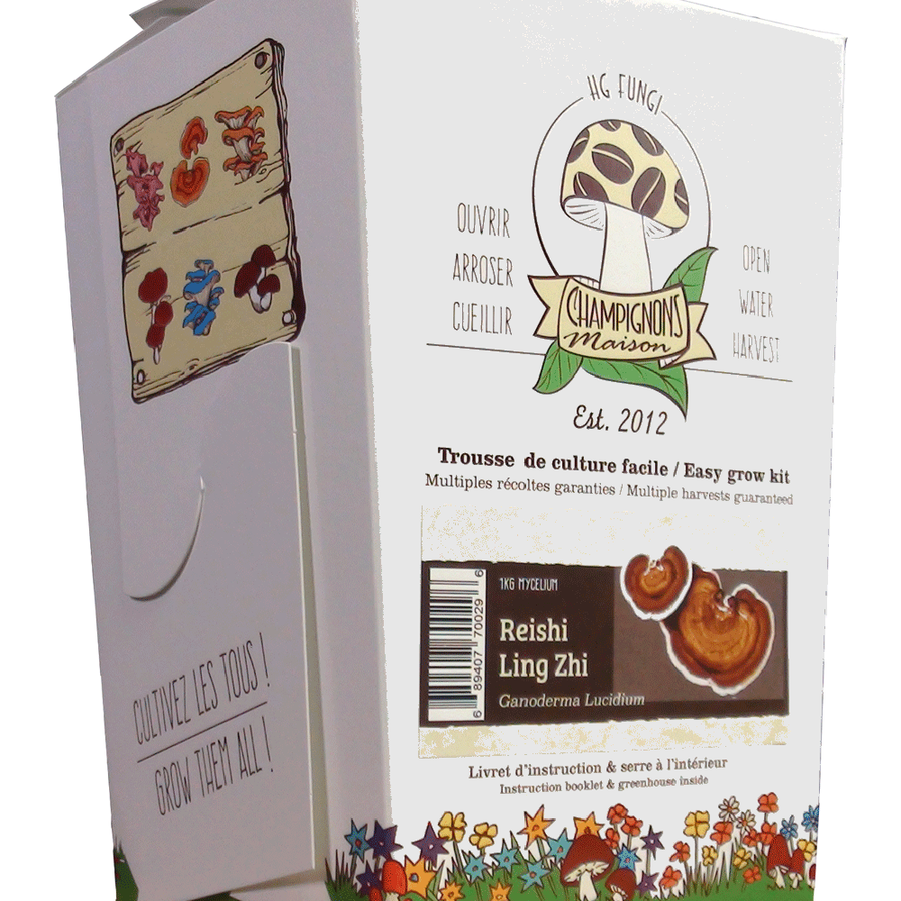 Reishi (1kg Mushroom Kit)