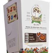 Reishi (1kg Mushroom Kit)
