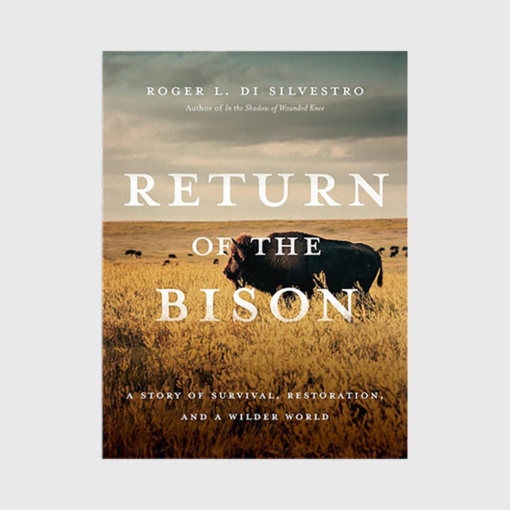 Return of the Bison