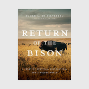 Return of the Bison