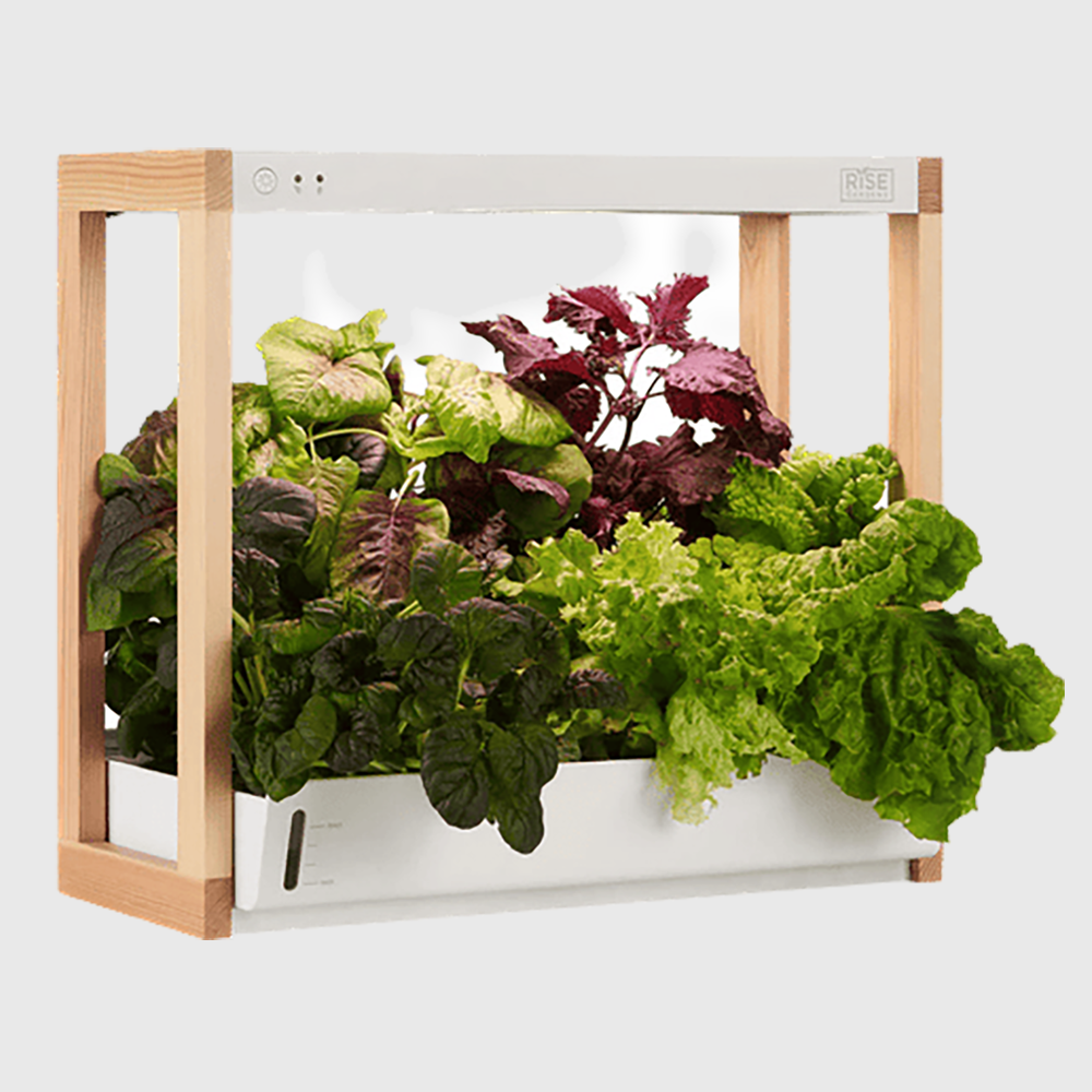 Rise Garden