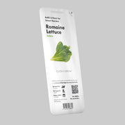Laitue Romaine / Romain lettuce Plant Pods - ClicknGrow