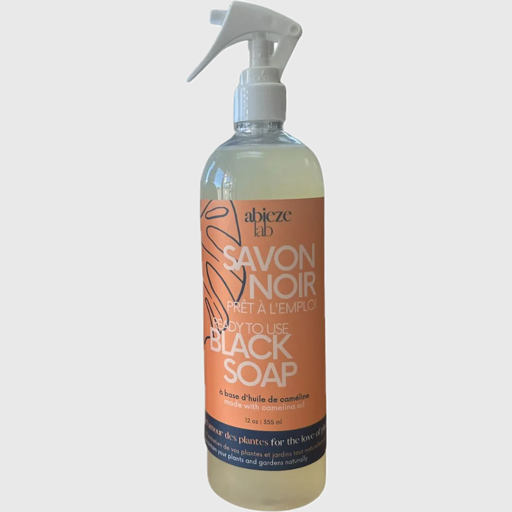 Savon noir prêt à l'emploi