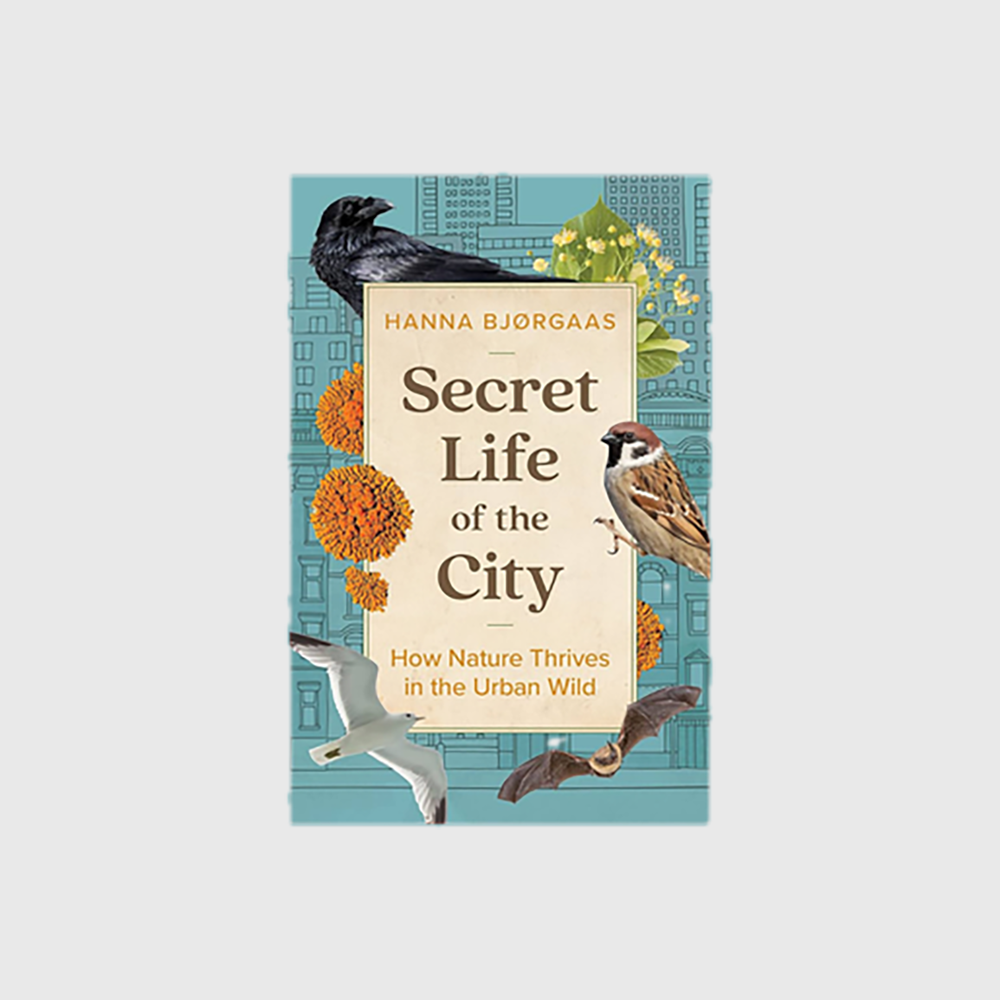 Secret Life of the City: How Nature Thrives in the Urban Wild