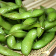 Edamame Soy Envy