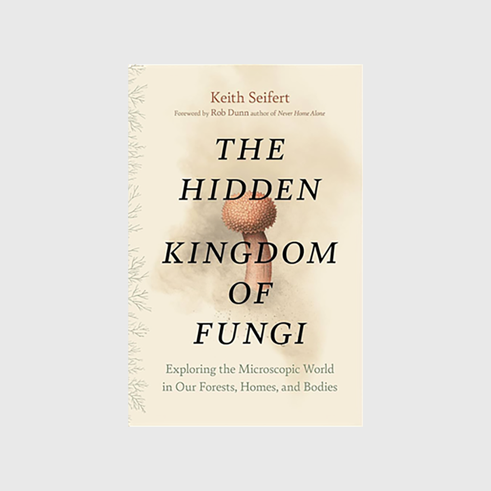 The Hidden Kingdom of Fungi: Exploring the Microscopic World in Our Forests, Homes, and Bodies