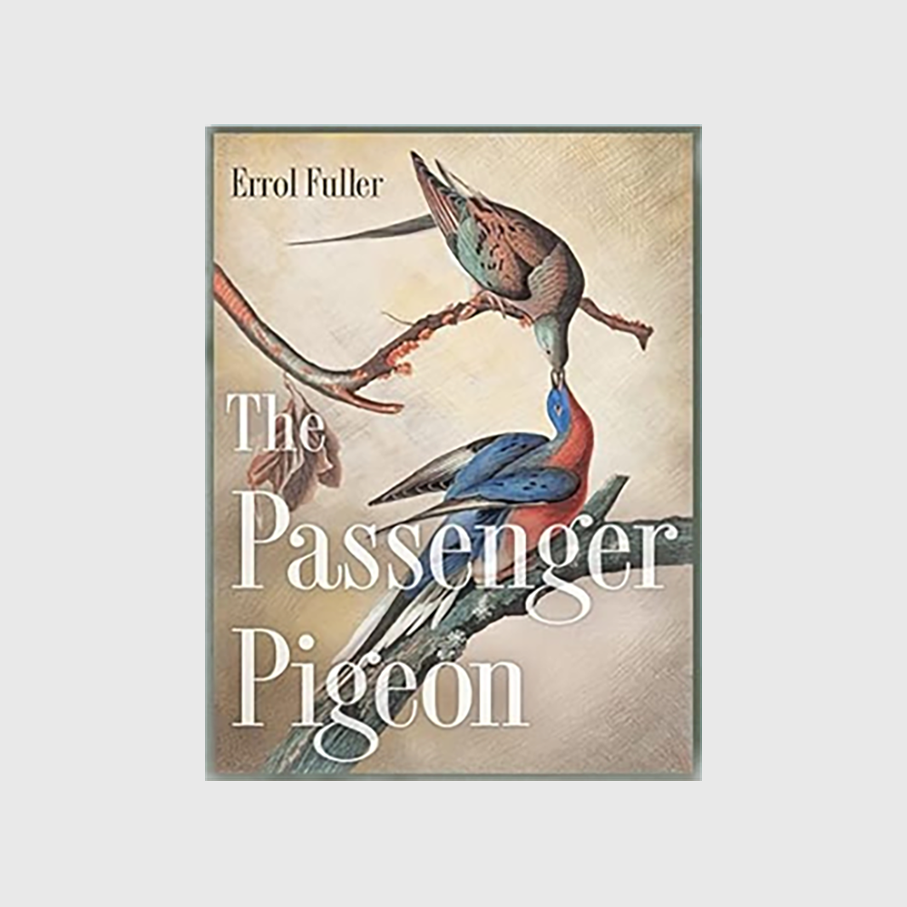 The Passenger Pigeon