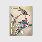 The Passenger Pigeon