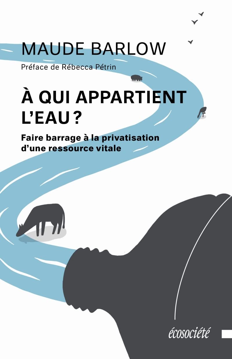 Who Owns the Water? Stopping the Privatization of a Vital Resource
