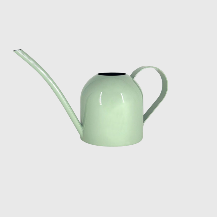Arrosoir 450 mL sauge