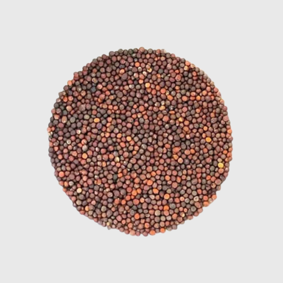 Brocoli à germer - 60g