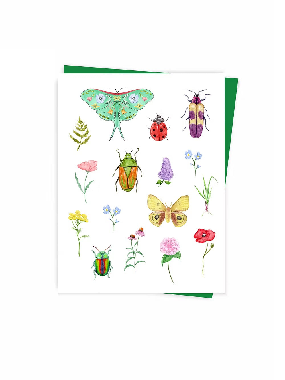 Greeting card with envelope - Hobeika Art