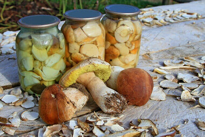 19/11/2025 Conserver les Champignons : Atelier DIY