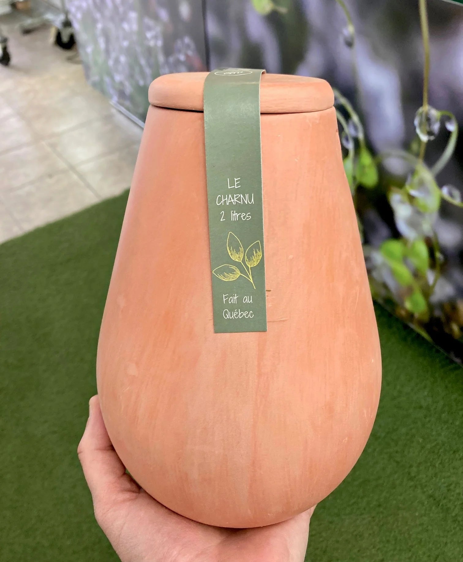 Terracotta irrigation jar - Olla Dodu