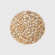 Coriandre à germer - 50g