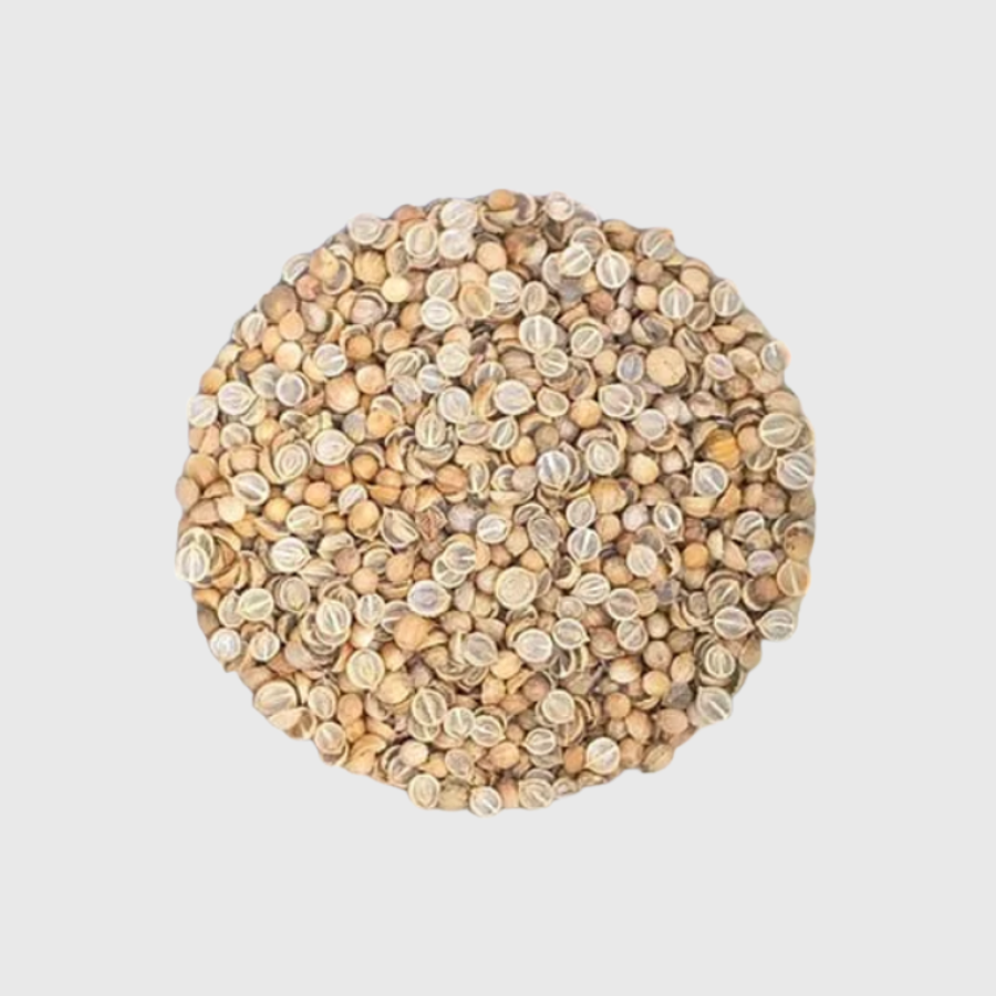 Coriandre à germer - 50g
