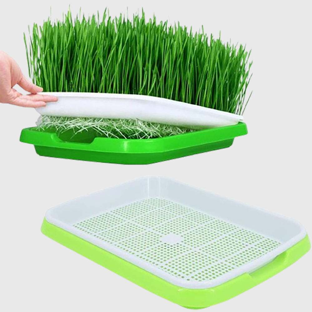 Tray sprouter