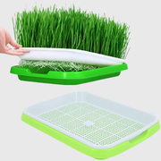 Tray sprouter