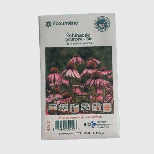 Échinacée pourpre