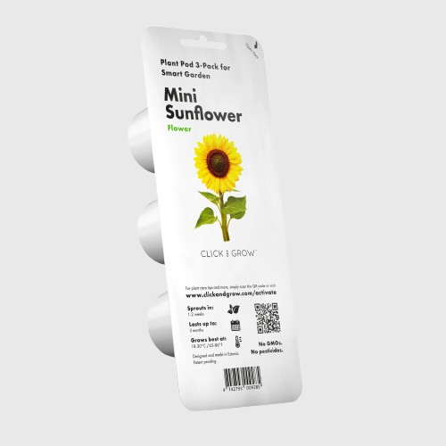 Mini Sunflower Plant Pods - ClicknGrow
