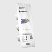 Lavender Plant Pods - ClicknGrow