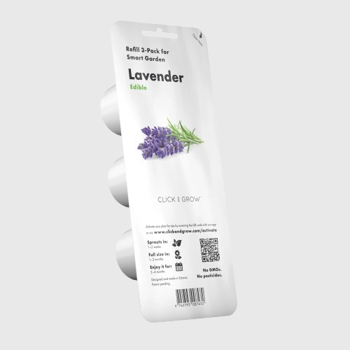 Lavender Plant Pods - ClicknGrow