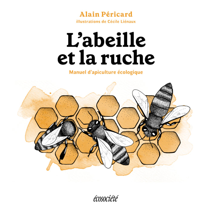 The Bee and the Hive