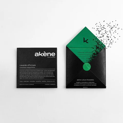Achene Seeds