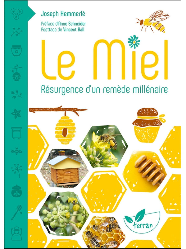 Honey, the resurgence of an ancient remedy