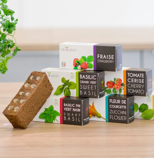 Lingot Véritable Ensemencé