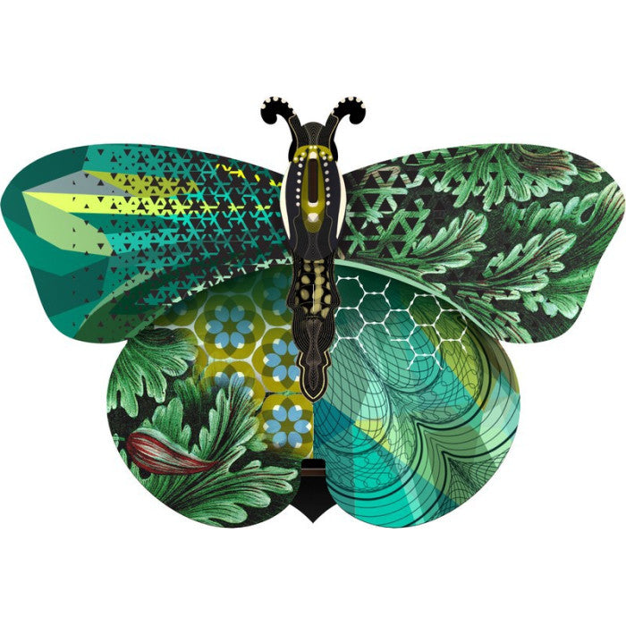 Insectes décoratifs