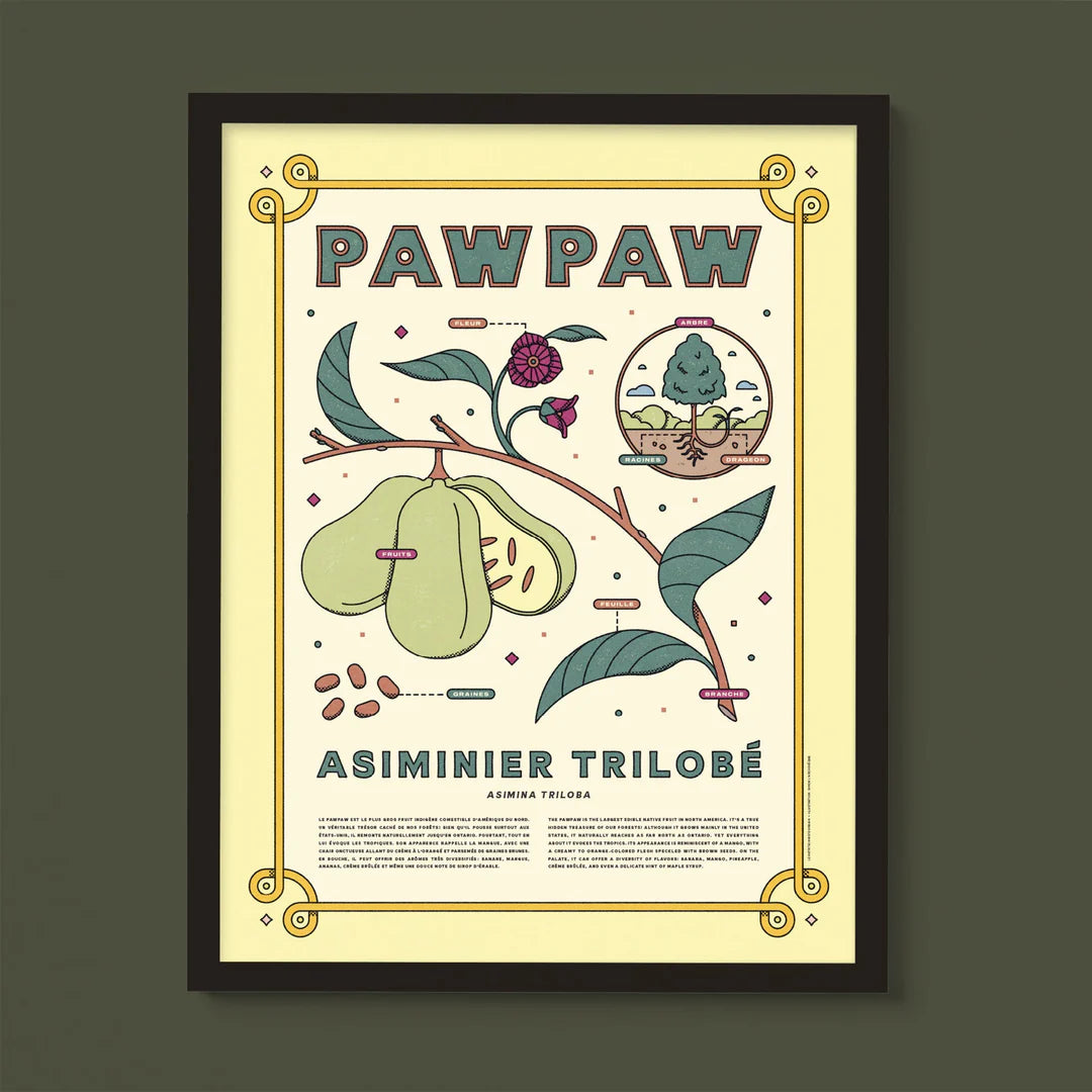 Affiche - Paw paw