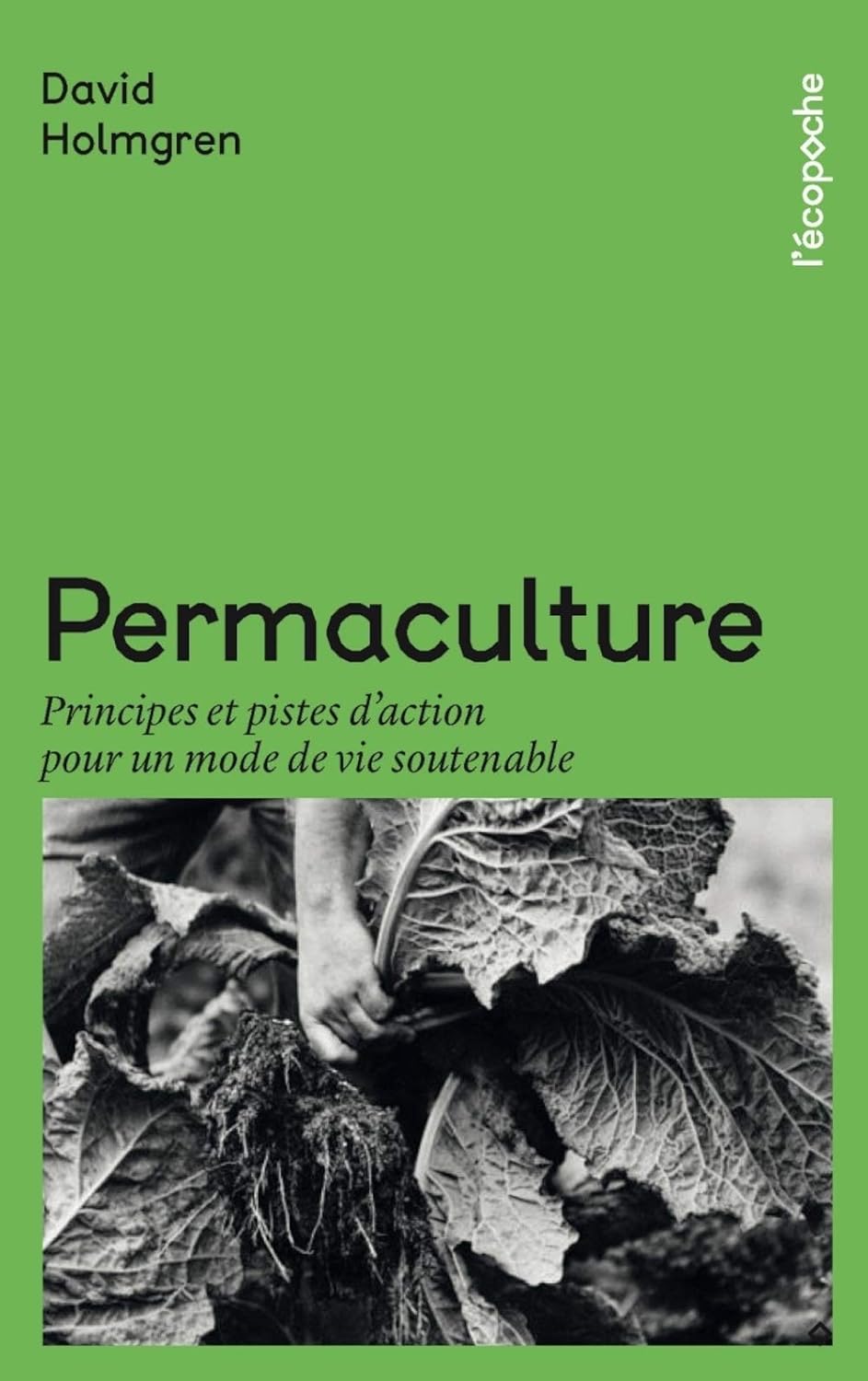 Permaculture: A Brief Introduction
