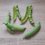 Pois petit provençal
