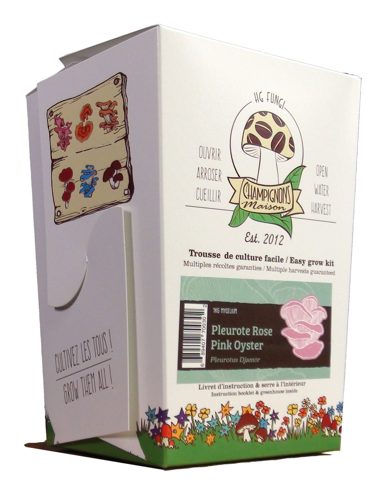 Blue Oyster Mushroom (1kg Mushroom Kit)