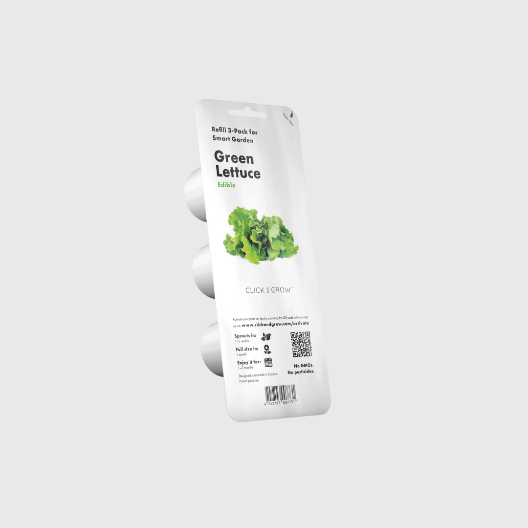 Green Lettuce Plant Pods - ClicknGrow
