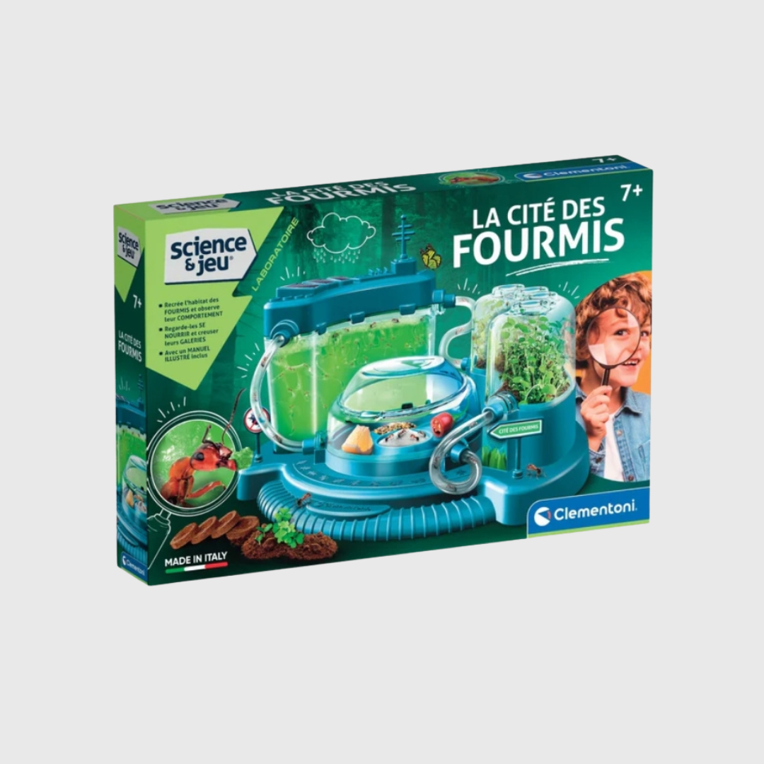 Science et jeu : La Cité des fourmis