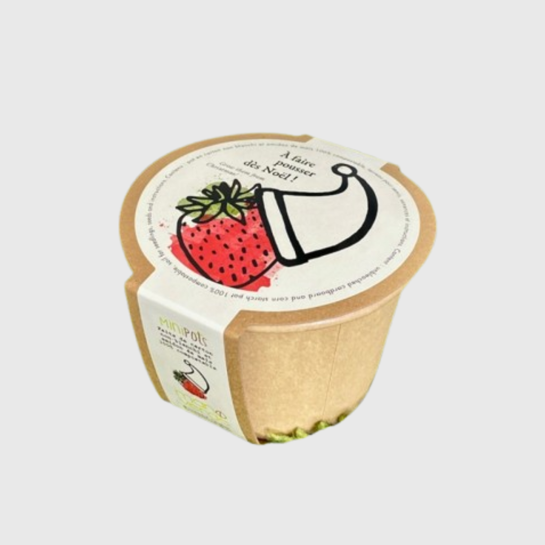 Minipots : À faire pousser dès Noel (fraises)