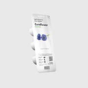 Cornflower Plant Pods - ClicknGrow