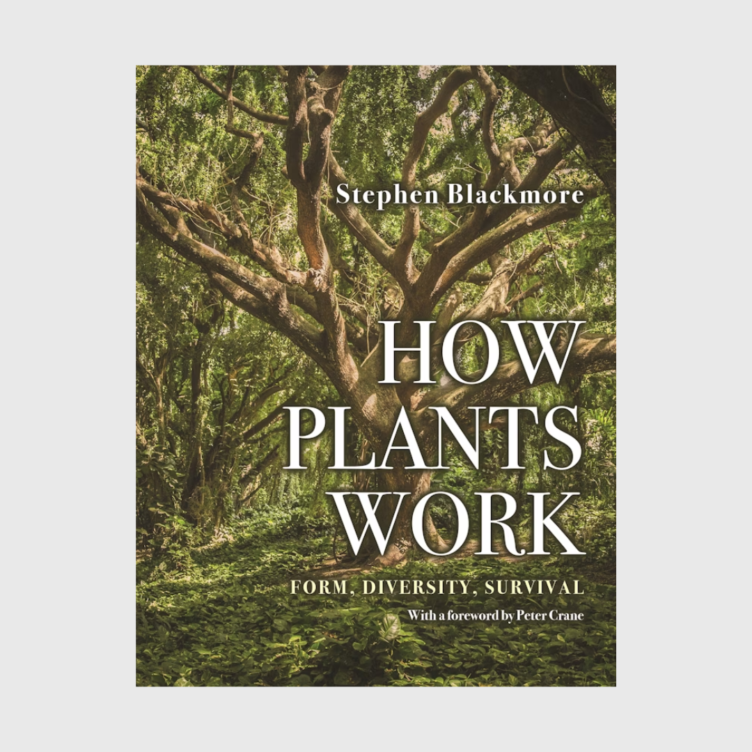 How plants work - Stephen Blackmore