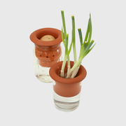 Propagateur en terre cuite - Terracotta regrower - Kikkerland