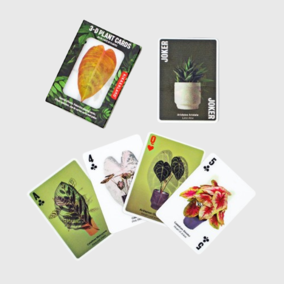 Cartes à jouer de plantes 3D - Kikkerland- #D plant cards