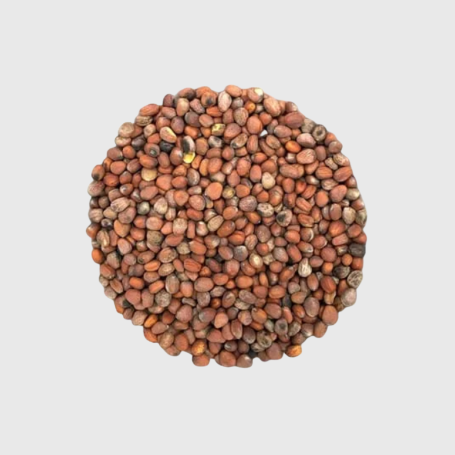 Mélange de radis à germer - 100g
