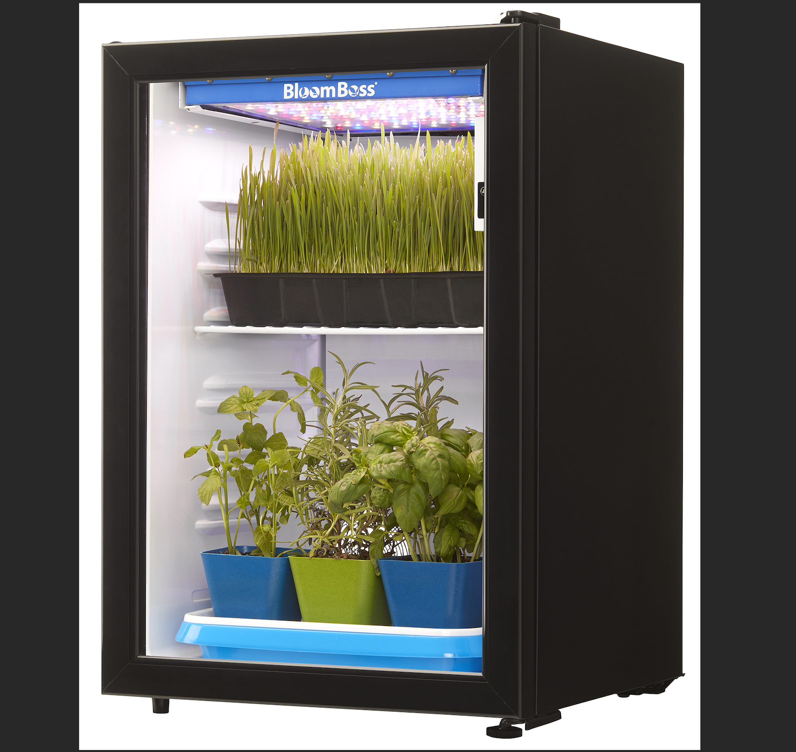 Danby Fresh 2, 6 Cubic Feet in Black